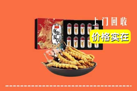 中山东凤镇回收冬虫夏草