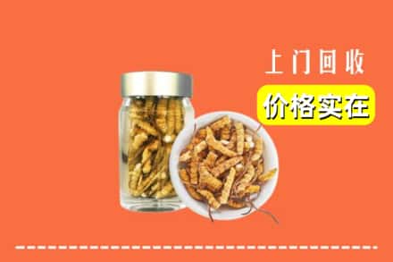 收购资讯:中山东凤镇回收散虫草