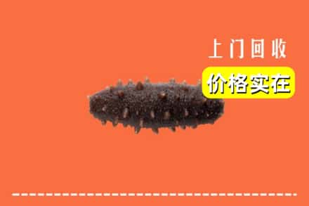 收购资讯:中山东凤镇回收海参